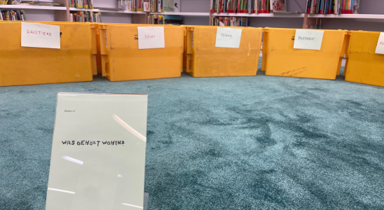 Gelbe Postboxen mit Beschriftung stehen auf einem türkisfarbenen Teppich. Im Vordergrund ist ein Schild mit den Worten "Was gehört wohin?"