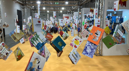 viele Bücher mit Angelsehne an die Decke angebracht